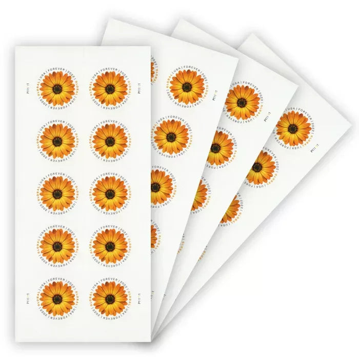 Global African Daisy Forever Stamps 2022