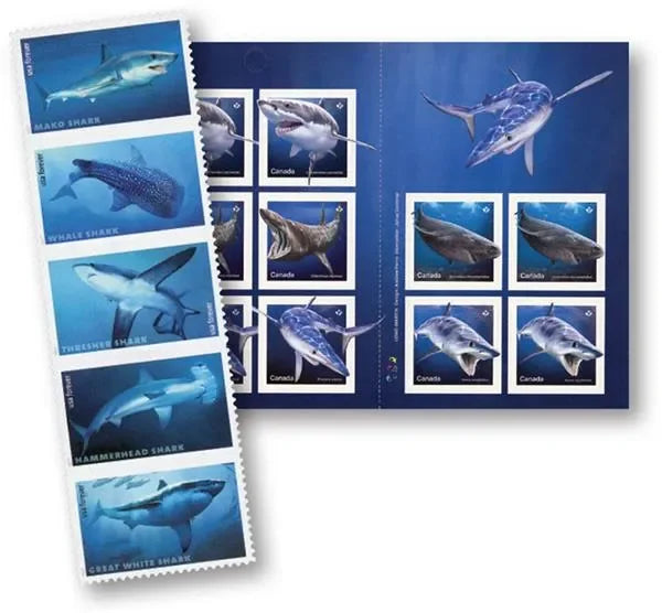 Sharks Forever Stamps 2017