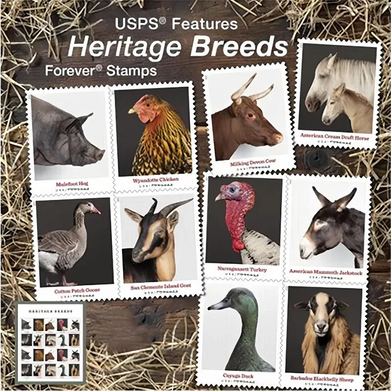 Heritage Breeds 2021