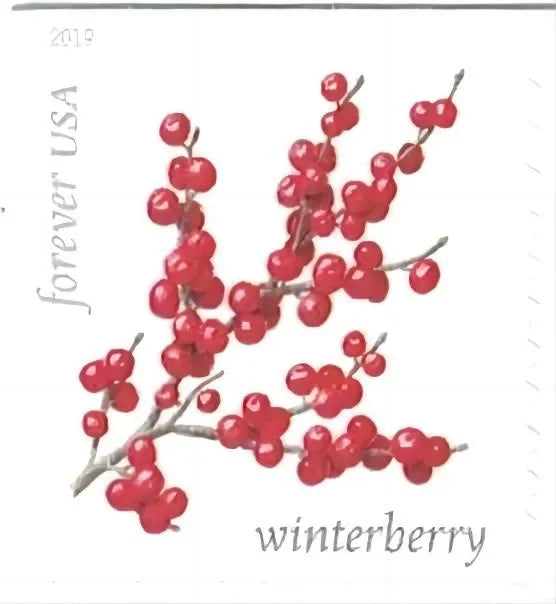 Winter Berries Forever Stamps 2019