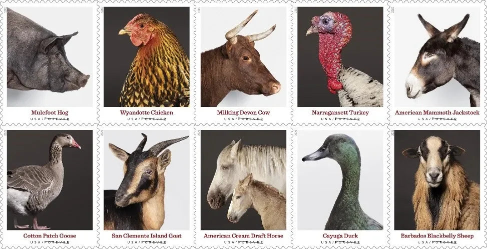 Heritage Breeds 2021