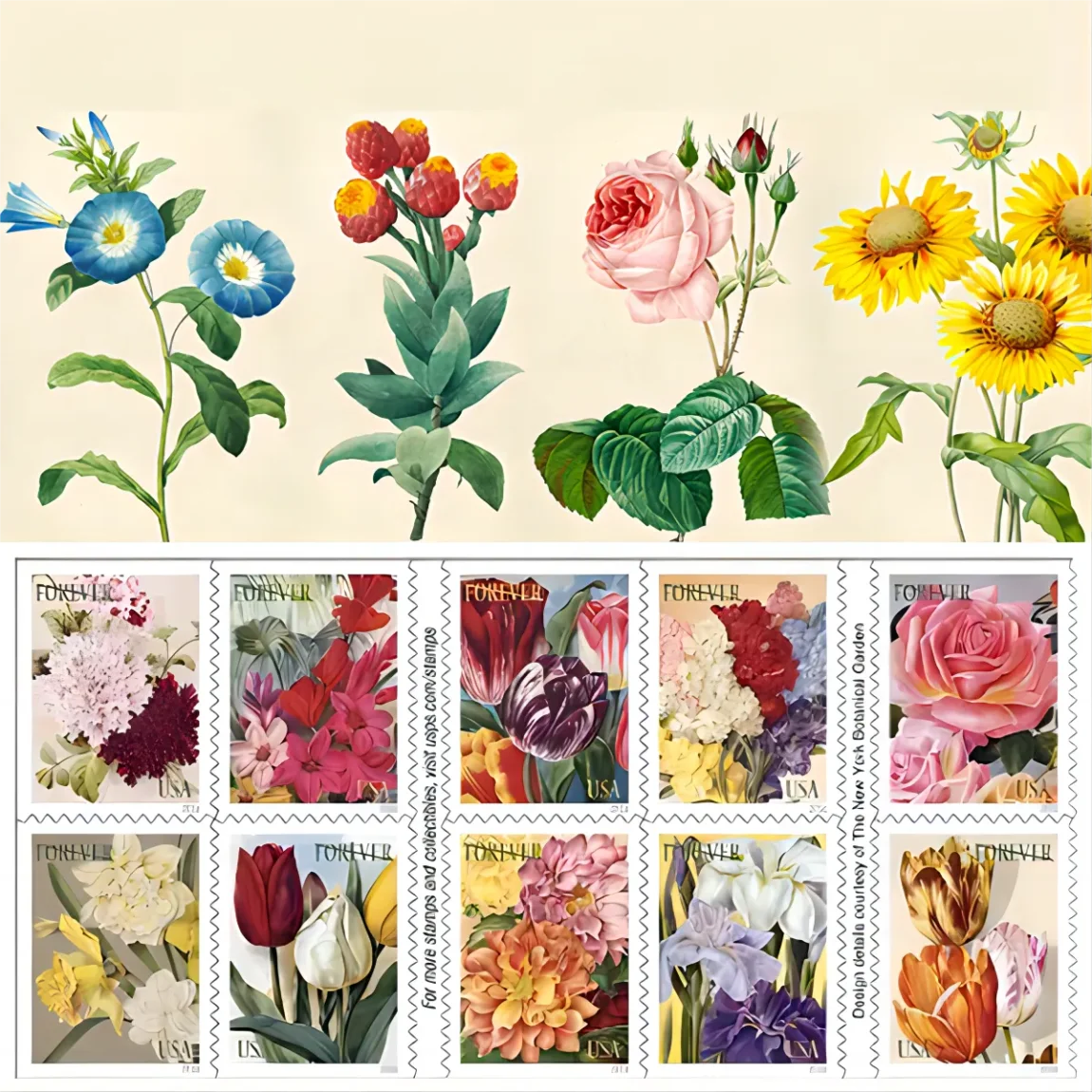 2023 Tulip Blossoms Forever Stamps& 2016 Botanical Art Forever Stamps