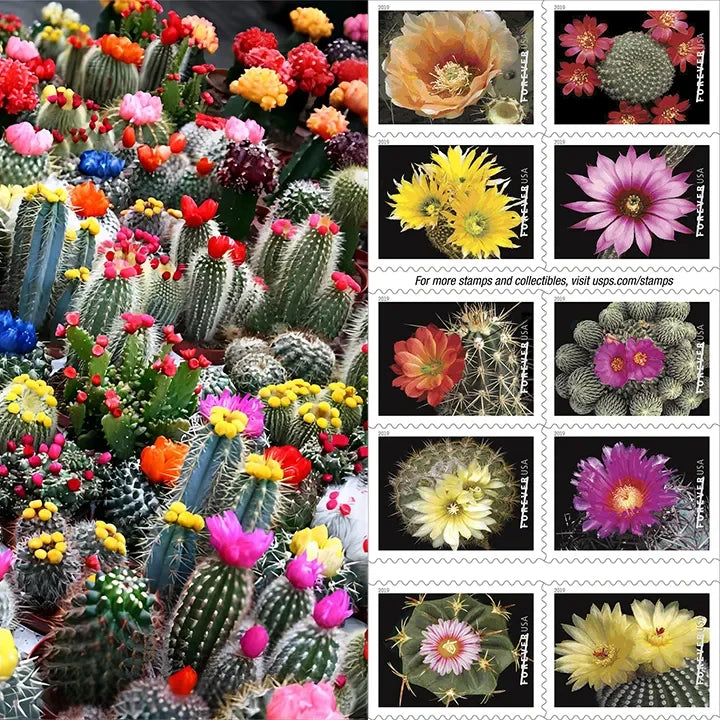 Cactus Flowers Forever Stamps 2019 1