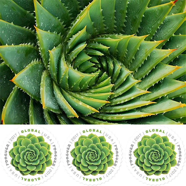 2017 Global Green Succulents Forever Stamps